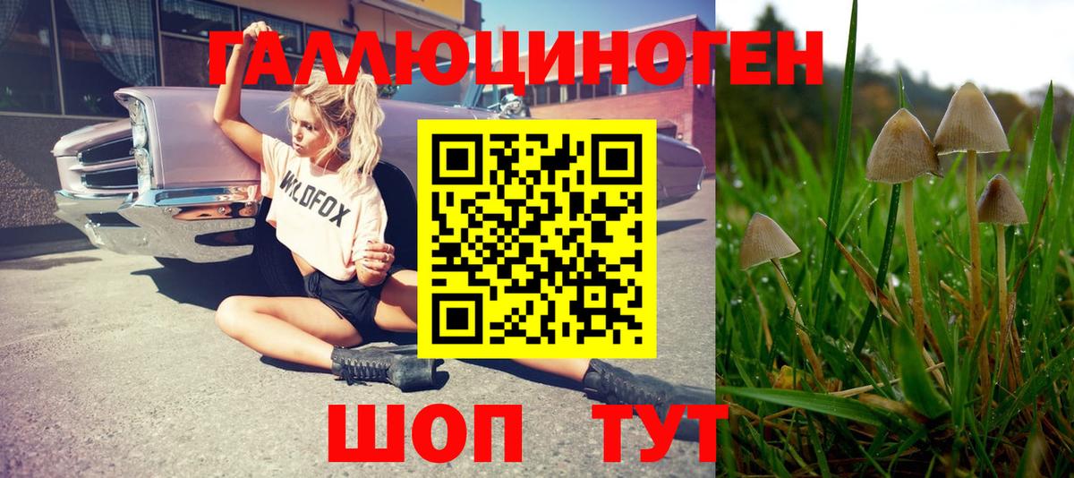 Псилоцибиновые грибы Magic Shrooms Пугачёв